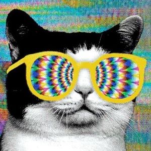 Meet your Posher, Adele